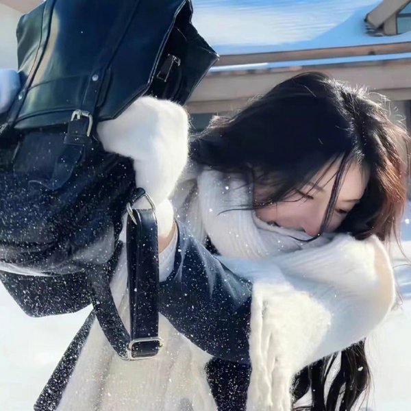 侠影留香